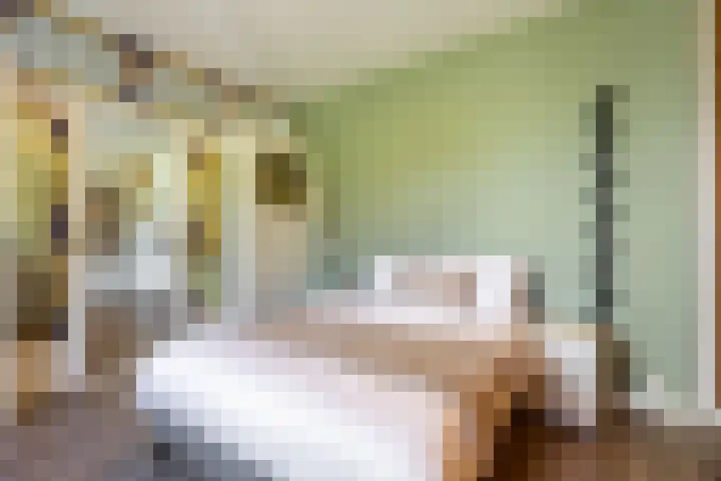 Dr. de Visserstraat 88 A 02 Rotterdam thumbnail 23