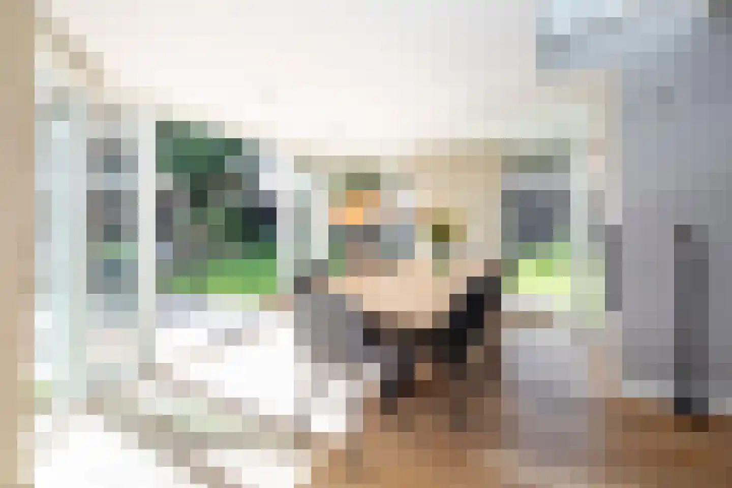 Dr. Desainlaan 18 Oisterwijk thumbnail 7