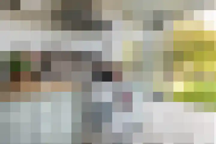 Dr. Dirk Bakkerlaan 61 Bloemendaal thumbnail 13