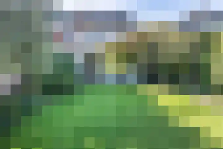Dr. Dirk Bakkerlaan 61 Bloemendaal thumbnail 19