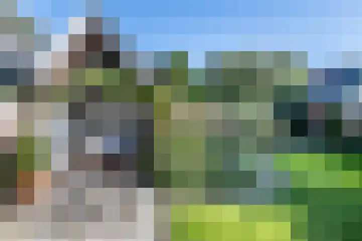Dr. Dirk Bakkerlaan 61 Bloemendaal thumbnail 20