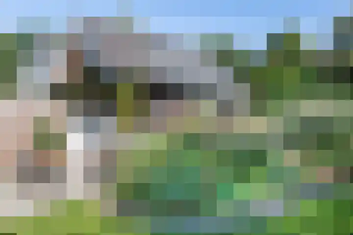 Dr. Dirk Bakkerlaan 61 Bloemendaal thumbnail 22