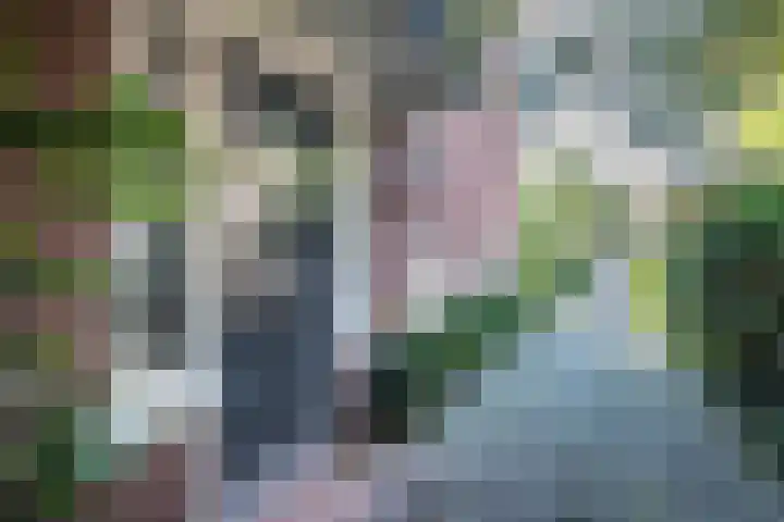Dr. Dirk Bakkerlaan 61 Bloemendaal thumbnail 23