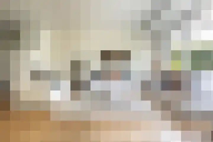 Dr. Dirk Bakkerlaan 61 Bloemendaal thumbnail 5