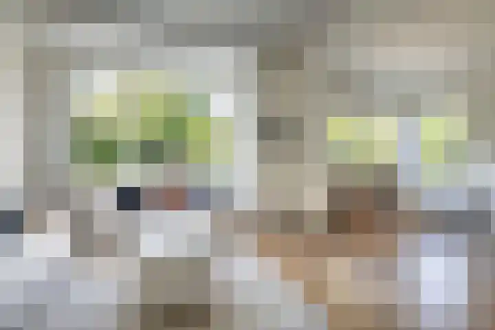 Dr. Dirk Bakkerlaan 61 Bloemendaal thumbnail 7