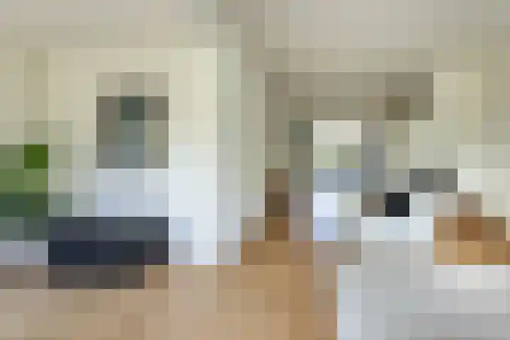 Dr. Dirk Bakkerlaan 61 Bloemendaal thumbnail 8