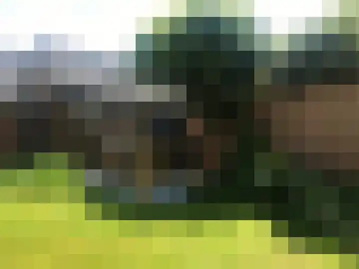Dr. Dirk Bakkerlaan 80 Bloemendaal thumbnail 24