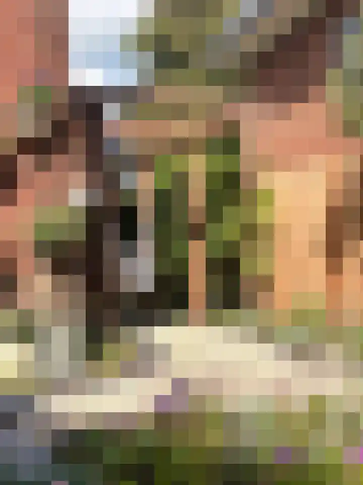 Dr. Dirk Bakkerlaan 80 Bloemendaal thumbnail 25
