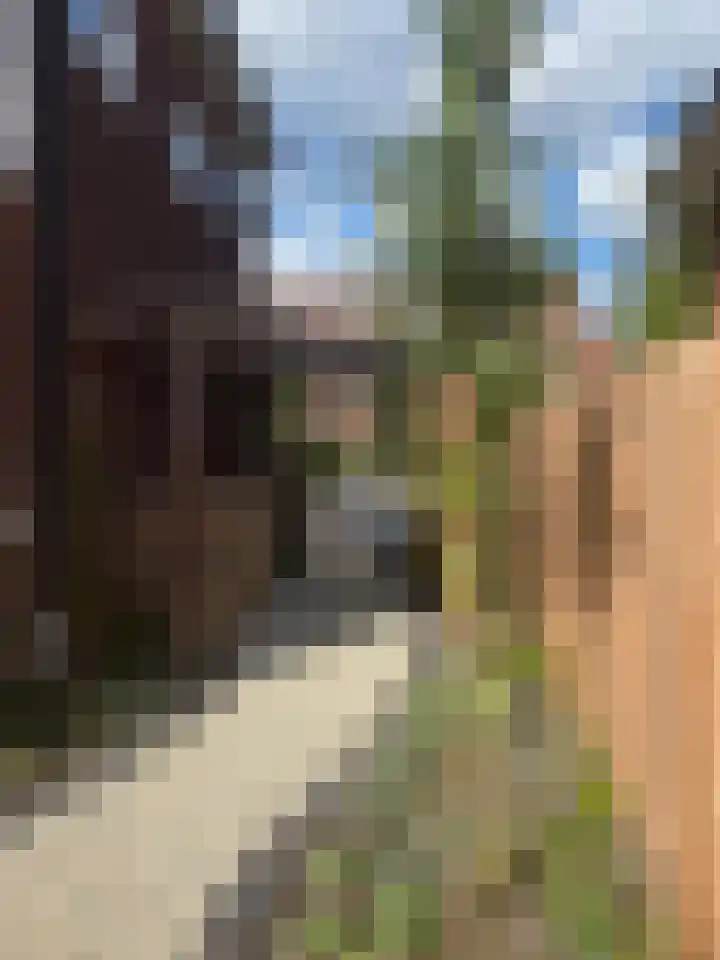 Dr. Dirk Bakkerlaan 80 Bloemendaal thumbnail 26
