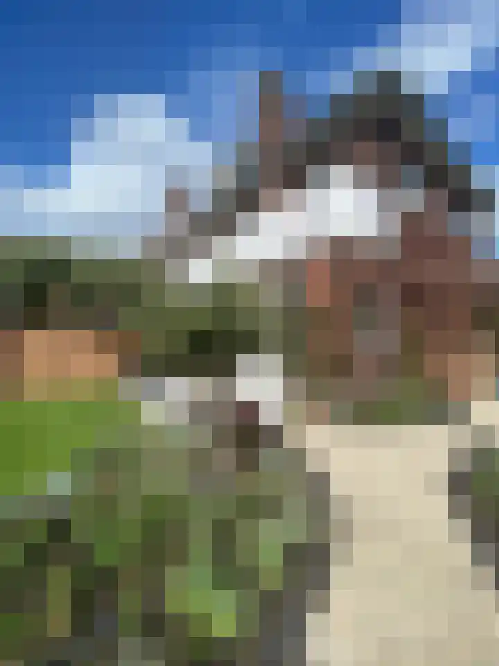 Dr. Dirk Bakkerlaan 80 Bloemendaal thumbnail 27