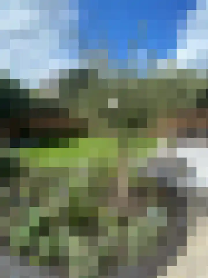 Dr. Dirk Bakkerlaan 80 Bloemendaal thumbnail 28