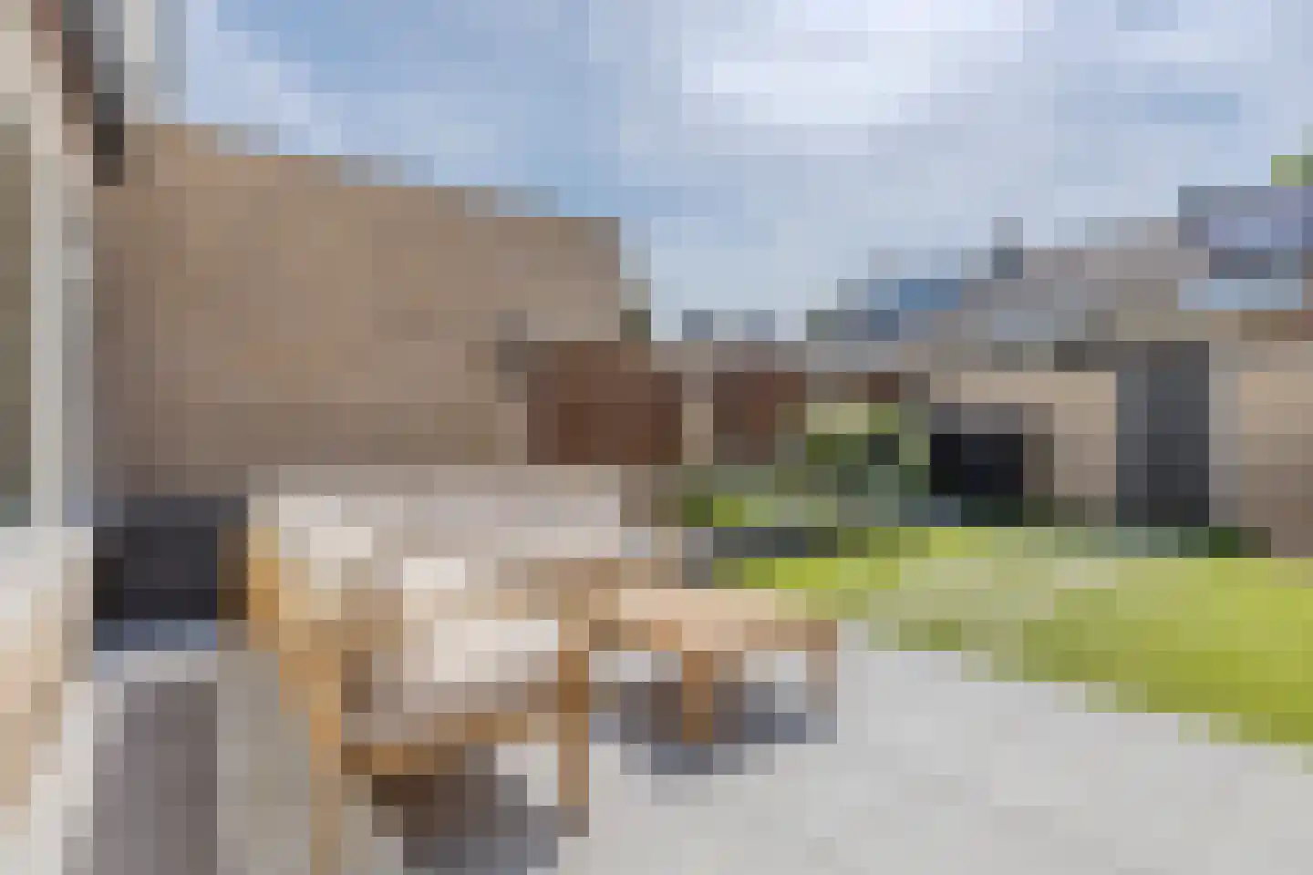 Dr. Donker Curtiusstraat 6 Waalwijk thumbnail 32