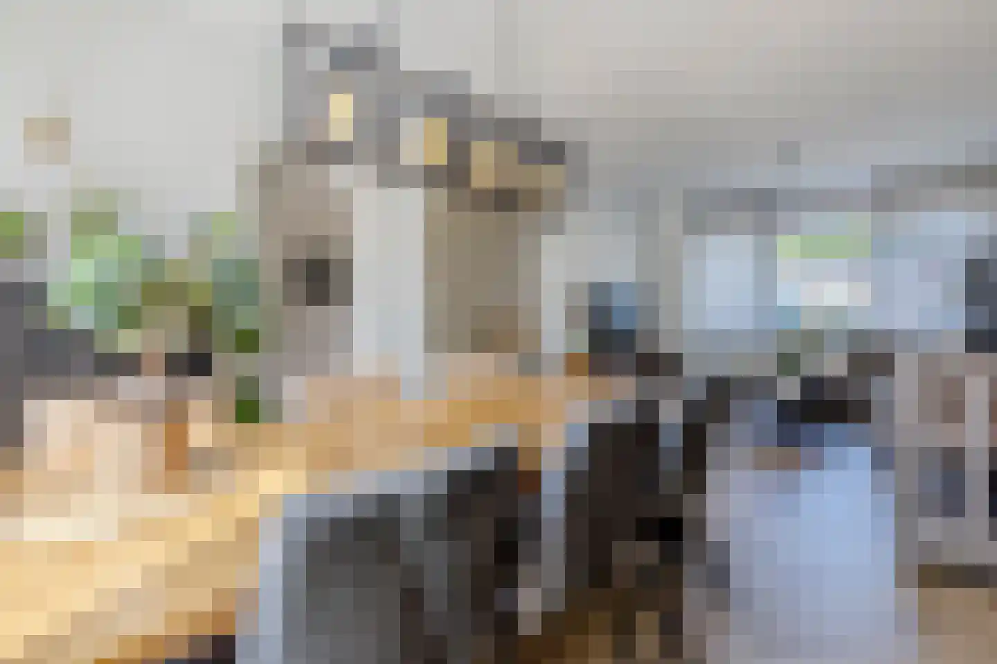 Dr. Donker Curtiusstraat 6 Waalwijk thumbnail 5