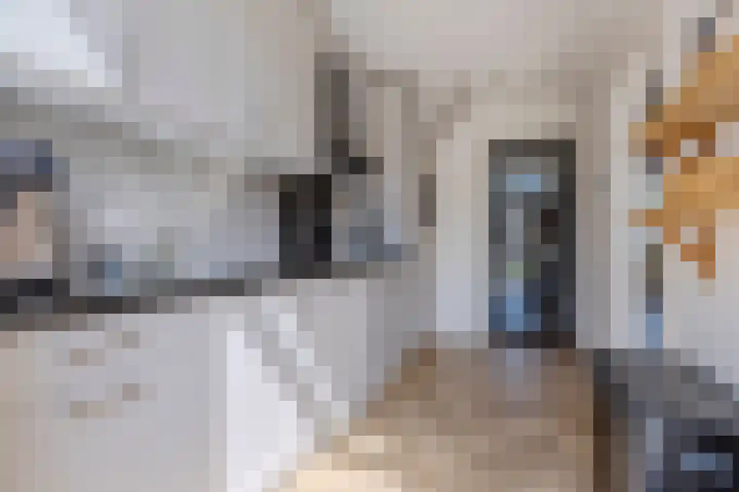 Dr. Donker Curtiusstraat 6 Waalwijk thumbnail 9
