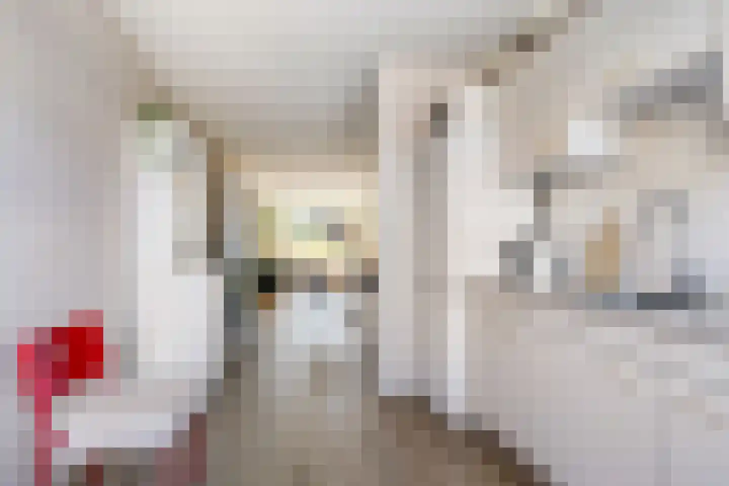 Dr.Dreeslaan 1 B Wolvega thumbnail 11