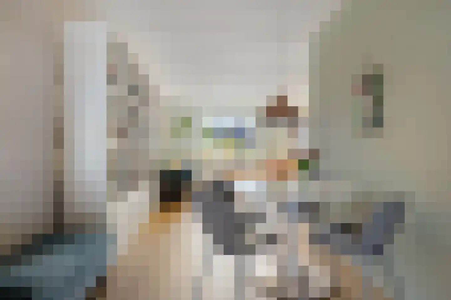Dr.Dreeslaan 1 B Wolvega thumbnail 9