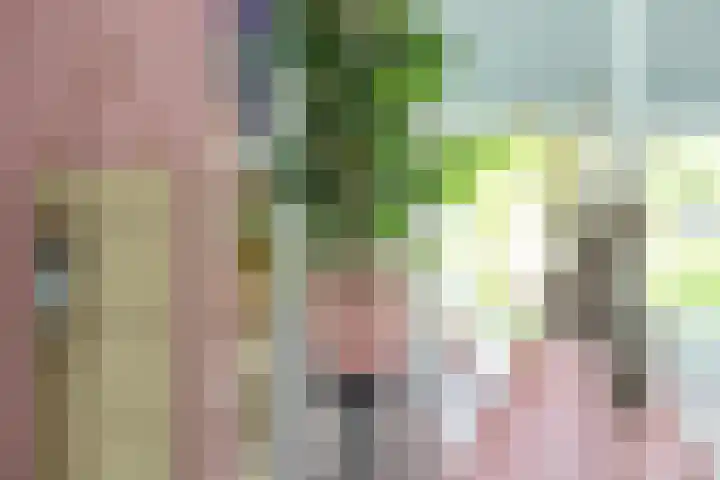 Dr. Dreeslaan 10 Arkel thumbnail 14