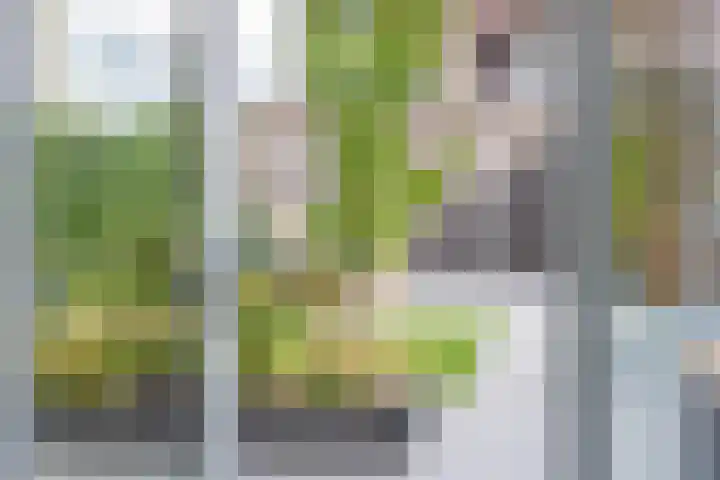 Dr. Dreeslaan 10 Arkel thumbnail 22