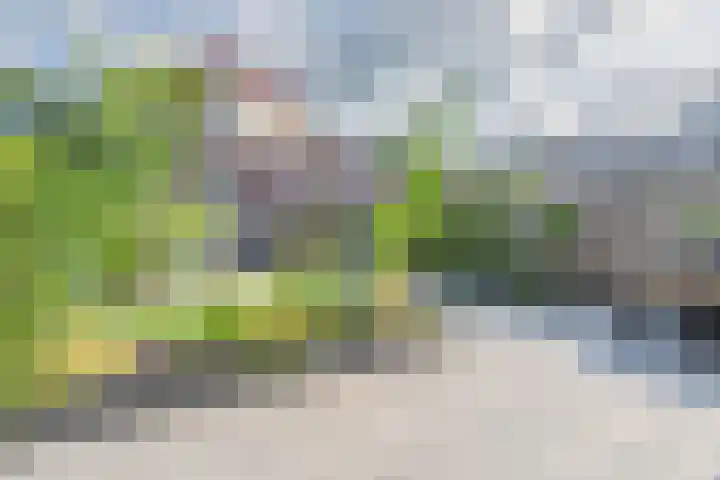 Dr. Dreeslaan 10 Arkel thumbnail 23