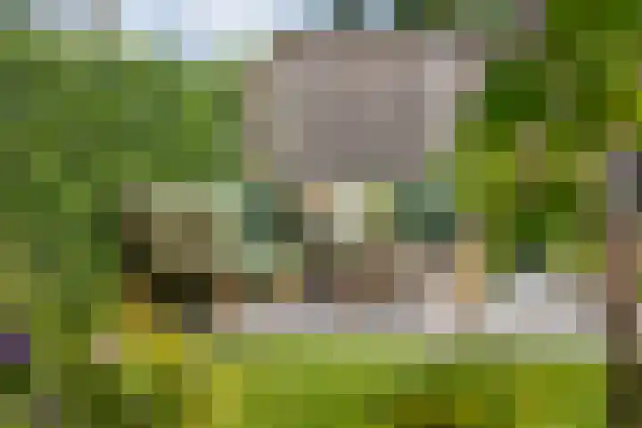 Dr. Dreeslaan 10 Arkel thumbnail 24
