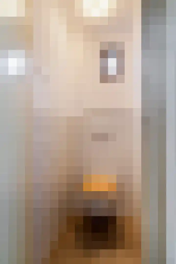 Dr. Dreeslaan 15 Arkel thumbnail 10