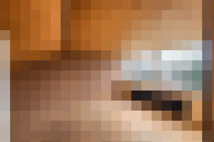 Dr. Dreeslaan 15 Arkel thumbnail 20
