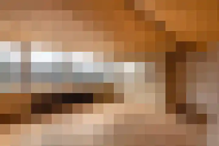 Dr. Dreeslaan 15 Arkel thumbnail 21