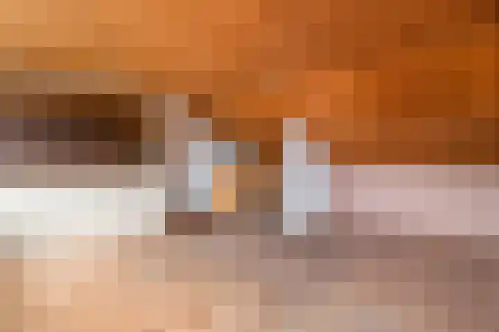 Dr. Dreeslaan 15 Arkel thumbnail 22