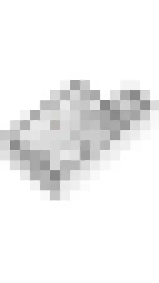 Dr. Dreeslaan 15 Arkel thumbnail 24