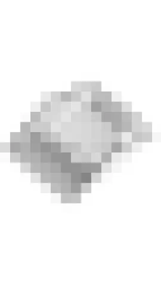 Dr. Dreeslaan 15 Arkel thumbnail 28