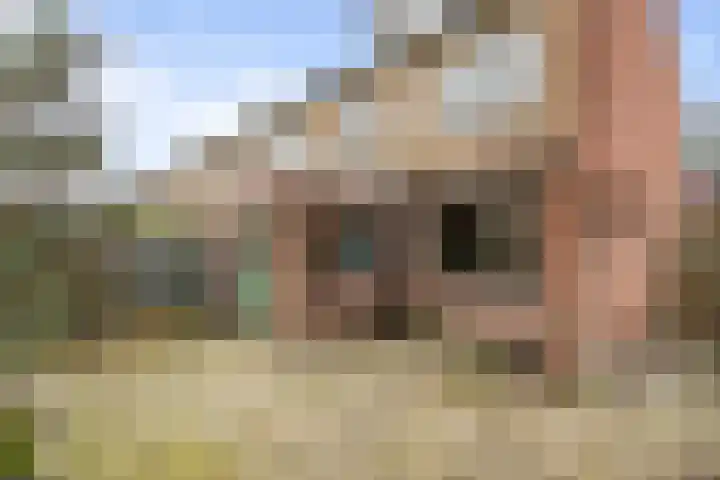 Dr. Dreeslaan 15 Arkel thumbnail 9