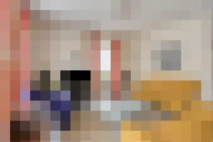 Dr. Dreeslaan 31 Helmond thumbnail 14