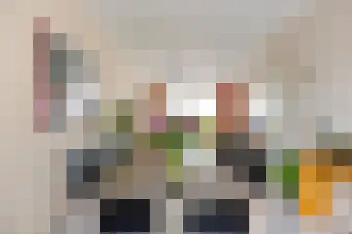 Dr. Dreeslaan 31 Helmond thumbnail 19