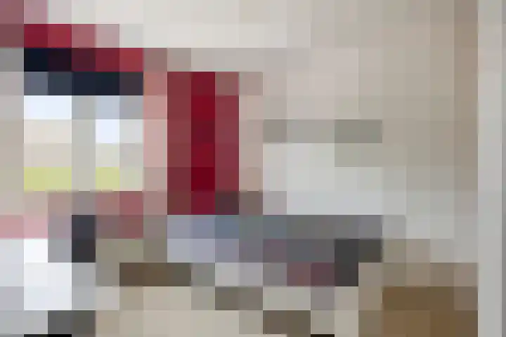 Dr. Dreeslaan 31 Helmond thumbnail 30