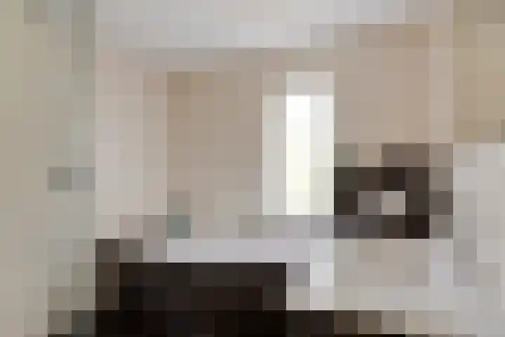 Dr. Dreeslaan 31 Helmond thumbnail 32