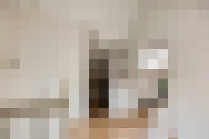 Dr. Dreeslaan 31 Helmond thumbnail 34