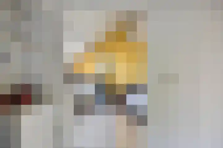 Dr. Dreeslaan 31 Helmond thumbnail 35