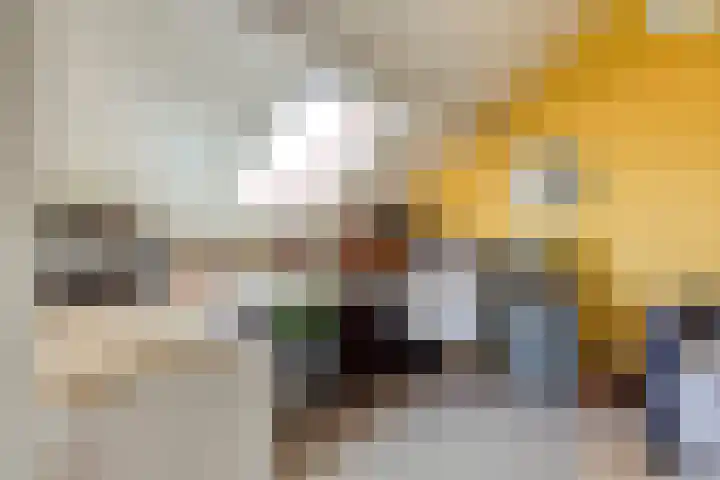 Dr. Dreeslaan 31 Helmond thumbnail 36