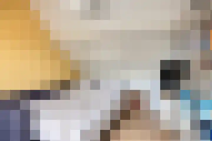 Dr. Dreeslaan 31 Helmond thumbnail 37