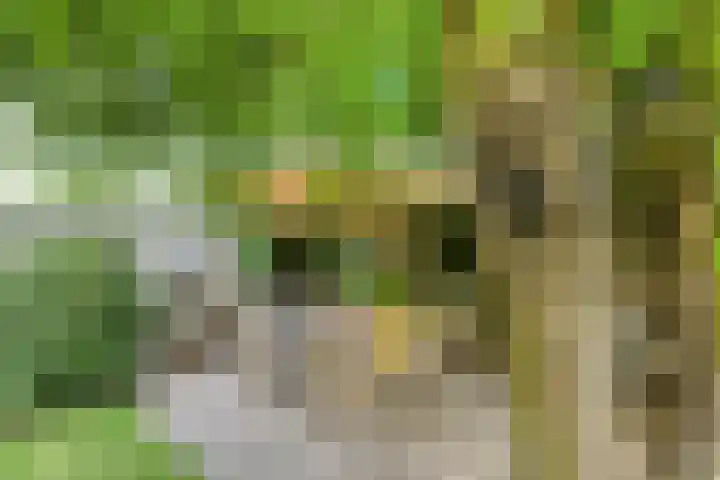 Dr. Dreeslaan 31 Helmond thumbnail 38