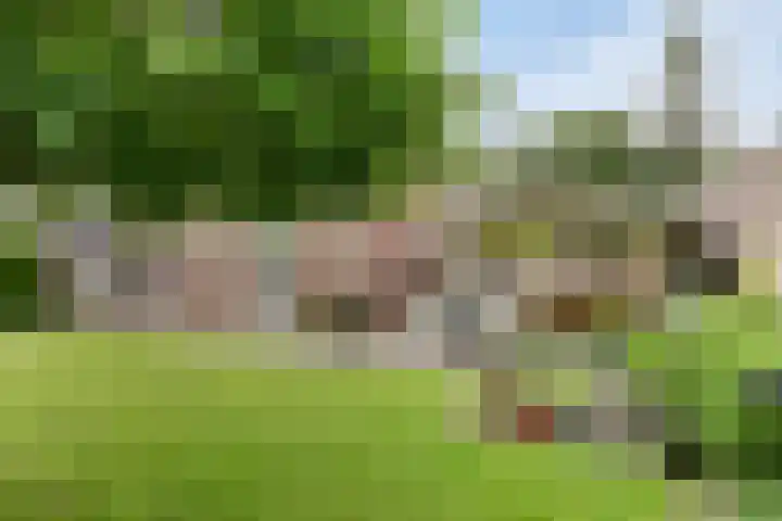 Dr. Dreeslaan 31 Helmond thumbnail 39