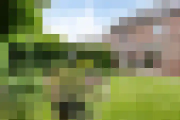 Dr. Dreeslaan 31 Helmond thumbnail 40