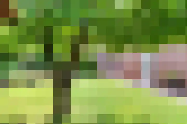 Dr. Dreeslaan 31 Helmond thumbnail 41