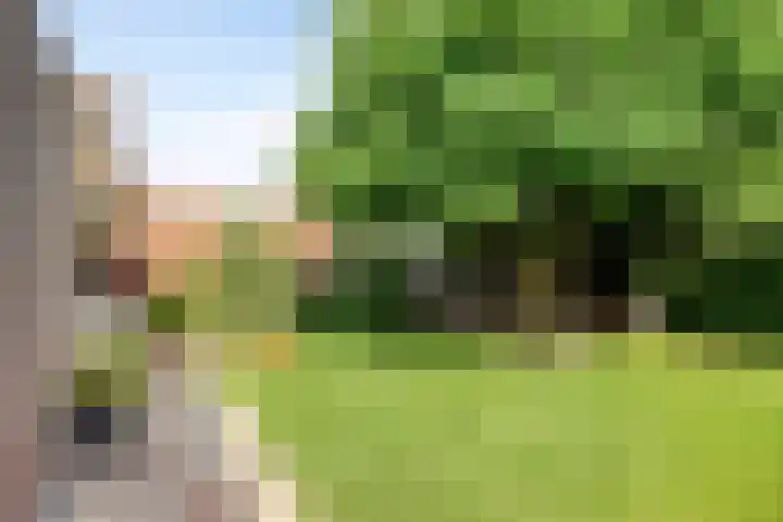 Dr. Dreeslaan 31 Helmond thumbnail 46
