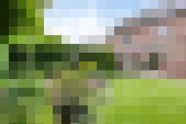 Dr. Dreeslaan 31 Helmond thumbnail 47