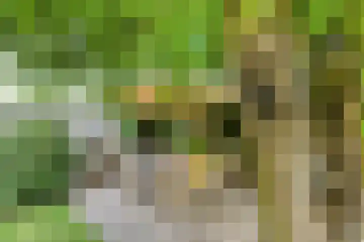 Dr. Dreeslaan 31 Helmond thumbnail 6