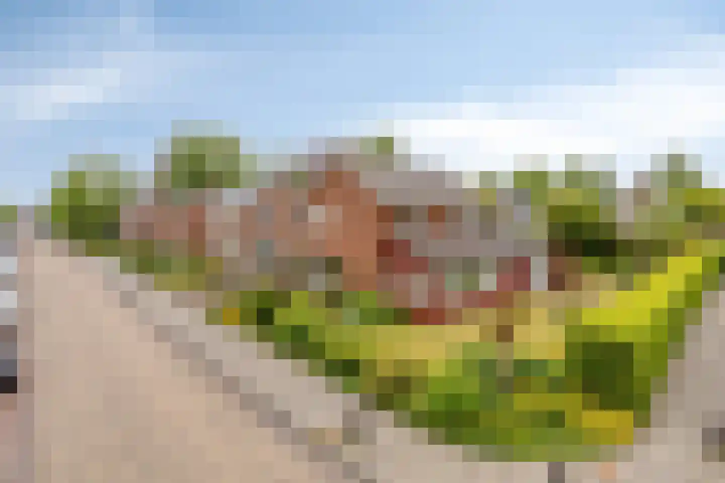 Dr.Dreeslaan 31 Wolvega thumbnail 36