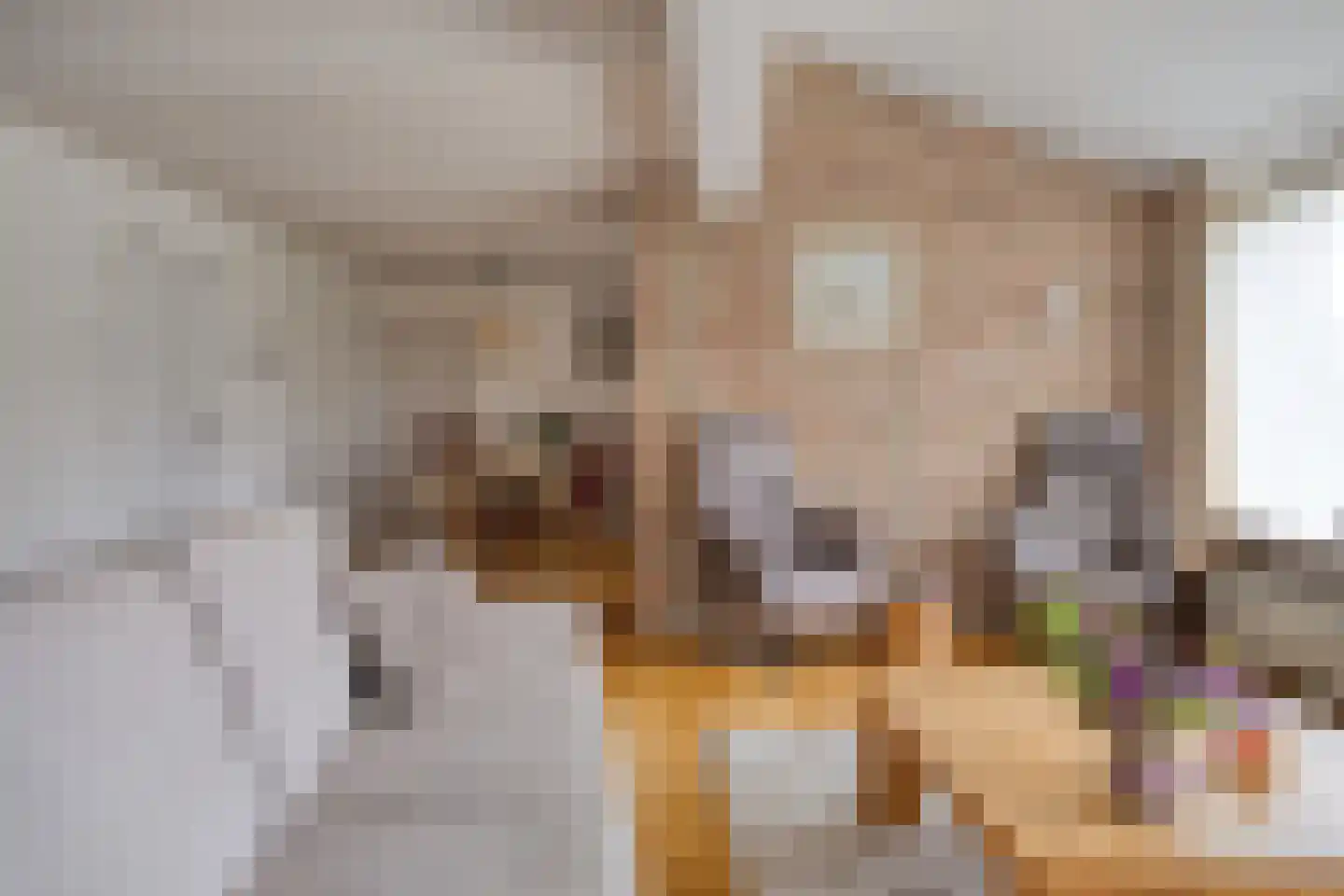 Dr.Dreeslaan 31 Wolvega thumbnail 5