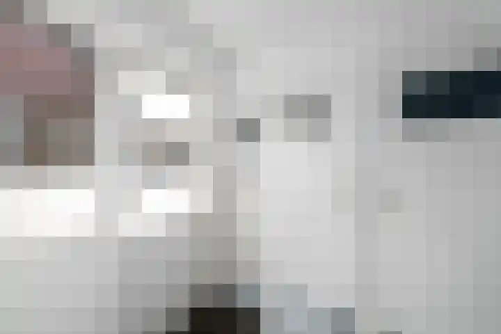 Dr.Dreeslaan 6 Wolvega thumbnail 12