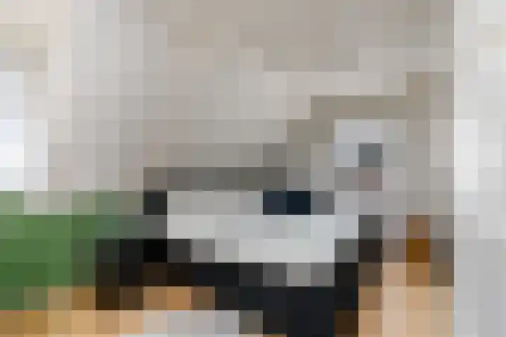 Dr.Dreeslaan 6 Wolvega thumbnail 17